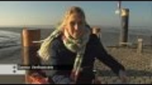 Showreel Sanny Verhoeven 2012