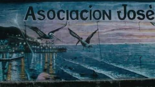Teaser Gallinazo