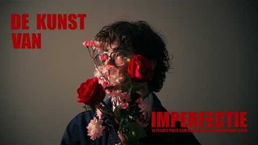 De Kunst Van Imperfectie