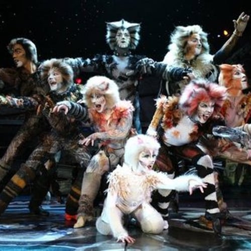 Cats