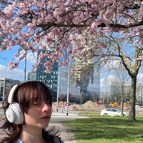 Under the cherryblossom