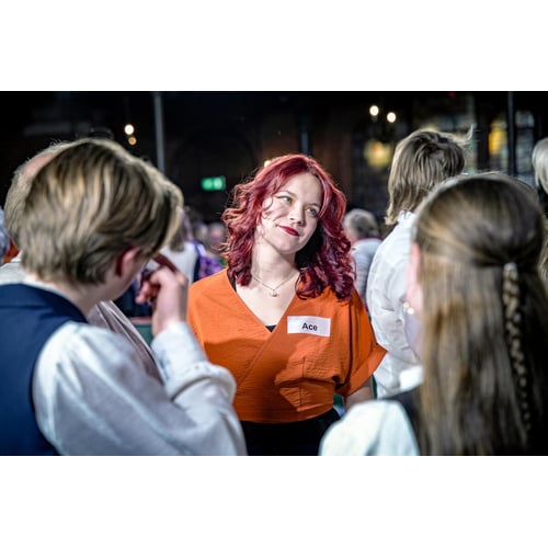 Op weg naar het lagerhuis 2