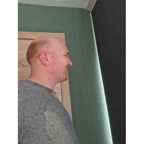 En profil