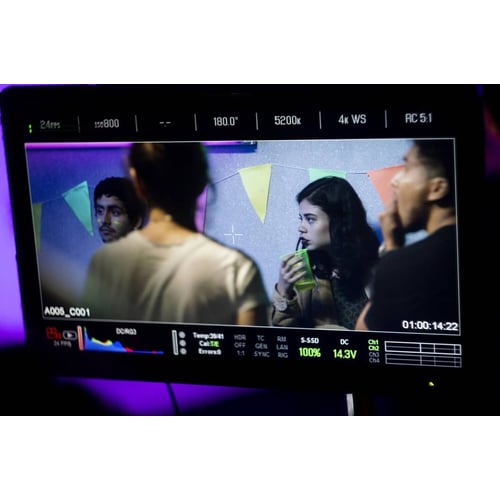 Actors in my film