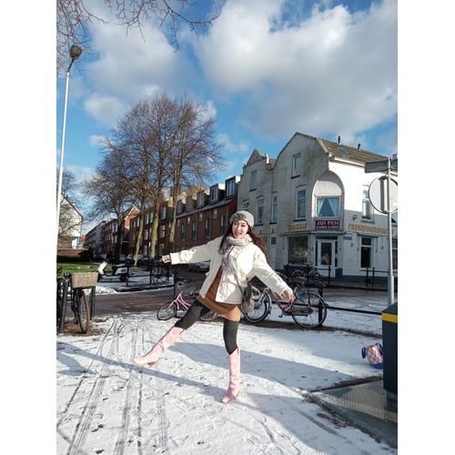 Daily pic in Netherlands winter