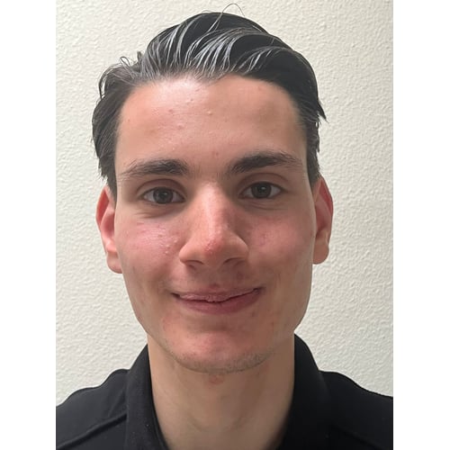 Portret (Serieus)