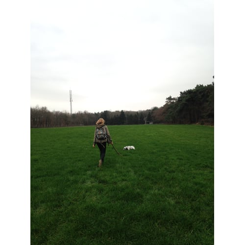 adventure