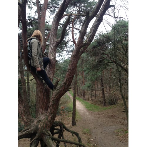 adventure 2.0