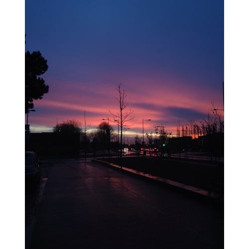 quick photo, good morning breda