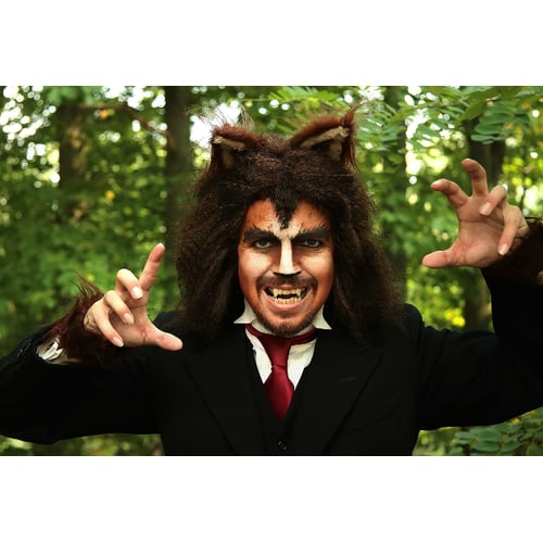 Grote Boze Wolf.