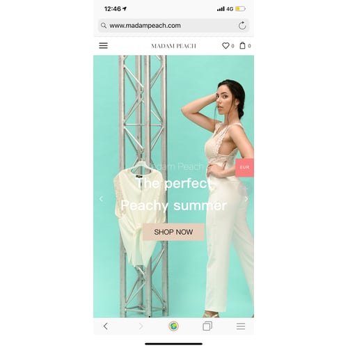 Website