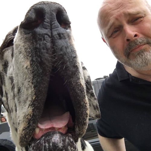 handling hond