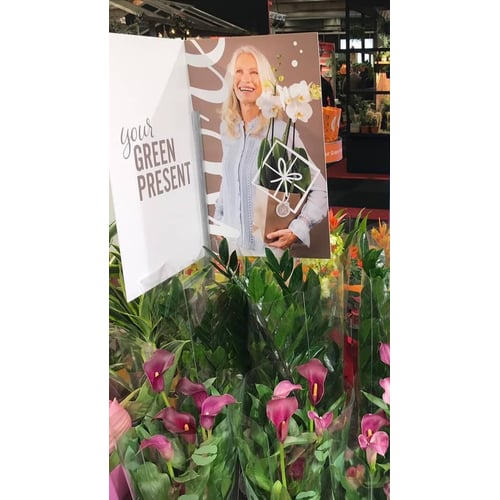 Flora Holland Fair Trade