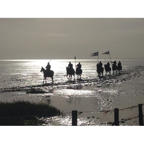 Opname Redbad, sept. 2017 Ameland