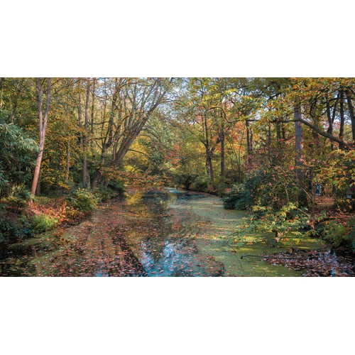autumn