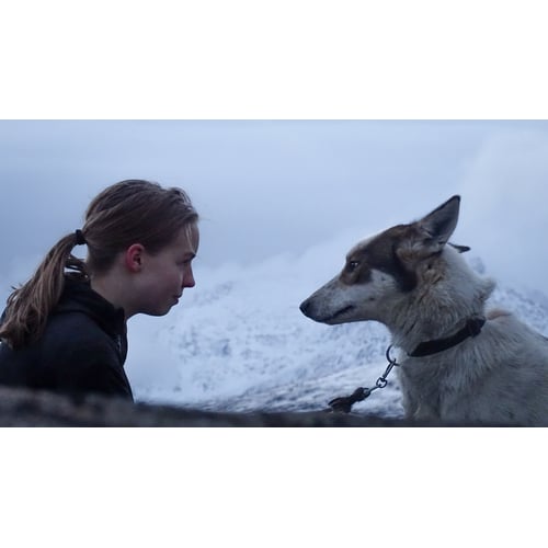 Sunnewa Husky