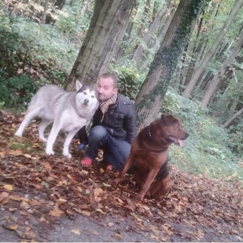 Hond