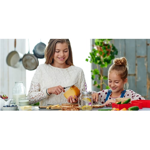 Nederlandse zuivel organisatie campaign