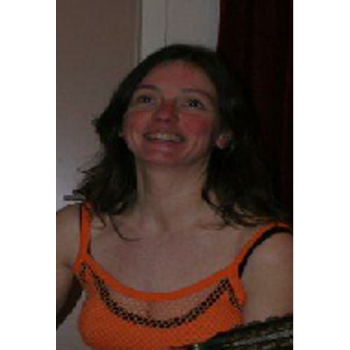 2011