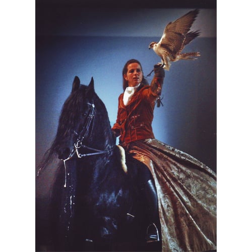 Roofvogelshow.