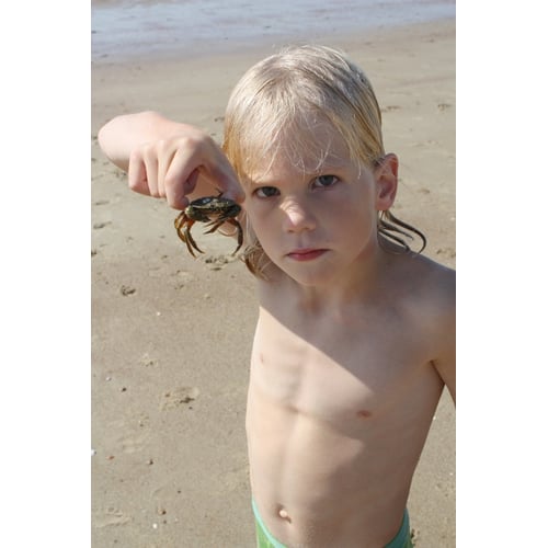 Aan mijn favoriete strand: Zoutelande