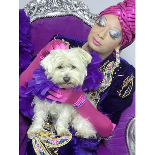 travestie Diva