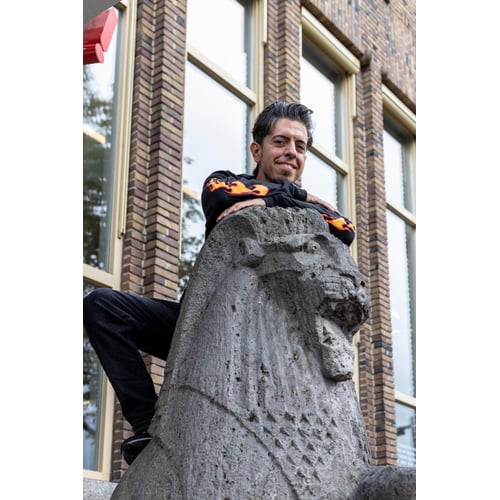 On the Lion-Library
