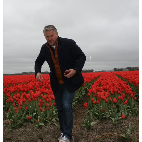 me in bulb field