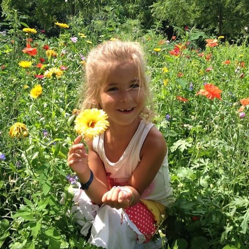 tussen de bloemen