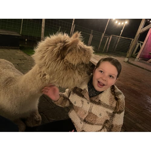 Knuffel met alpaca 