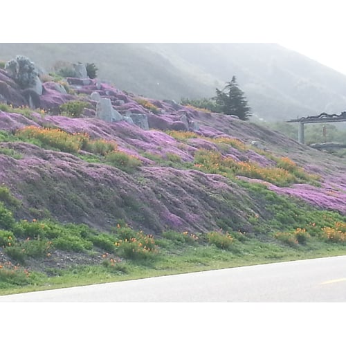HIGHWAY ONE