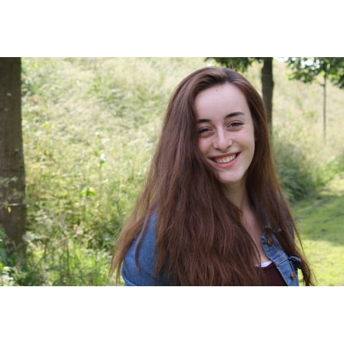lang haar