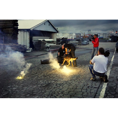 Filmen Voor Jack & Joey Hondenmagazine 