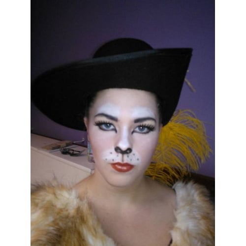 gelaarsde kat in de musical ver heel ver van hier (shrek)
