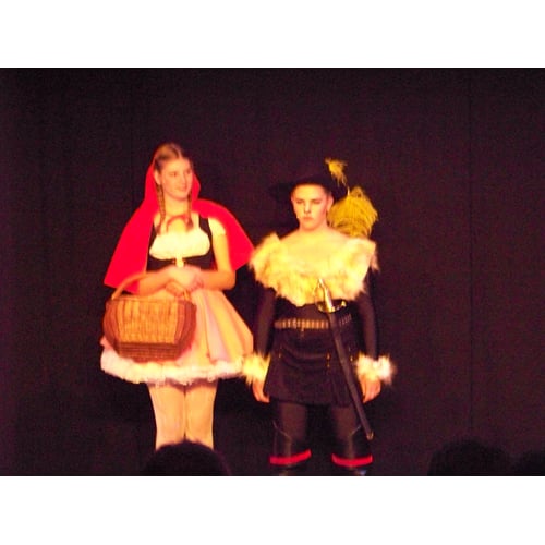 de musical ver heel ver van hier