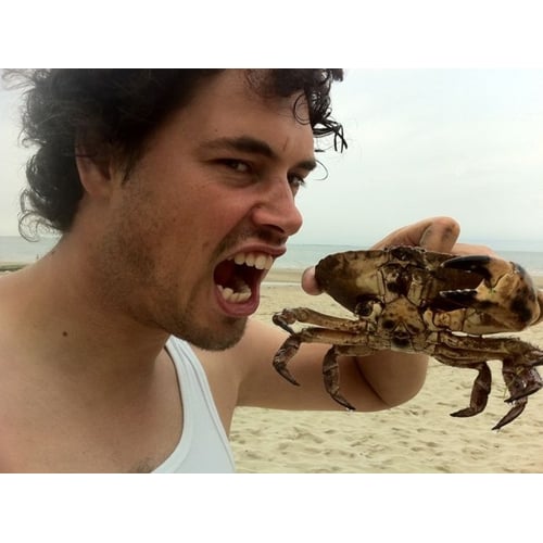 howly crab