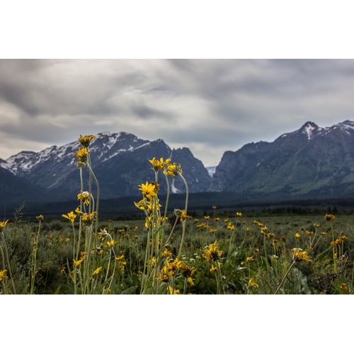 Grand Tetons