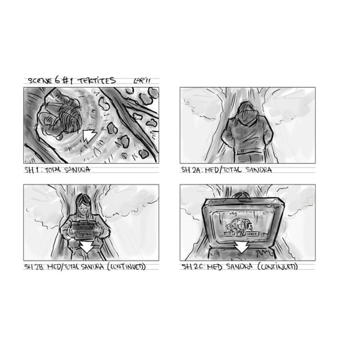 storyboard voorbeeld