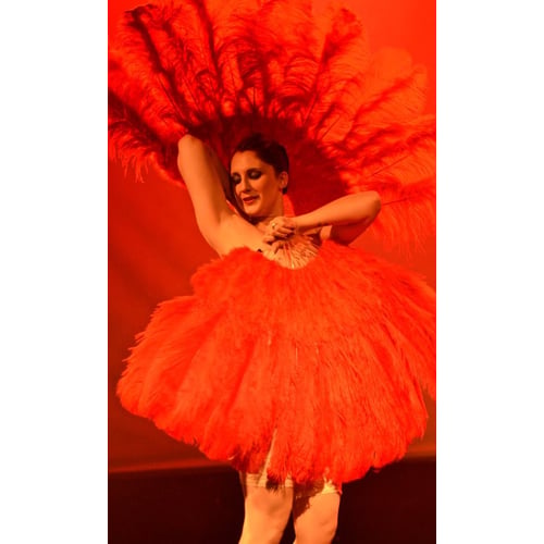 burlesque show op klein festival