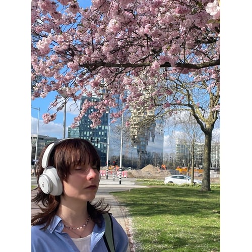 Under the cherryblossom