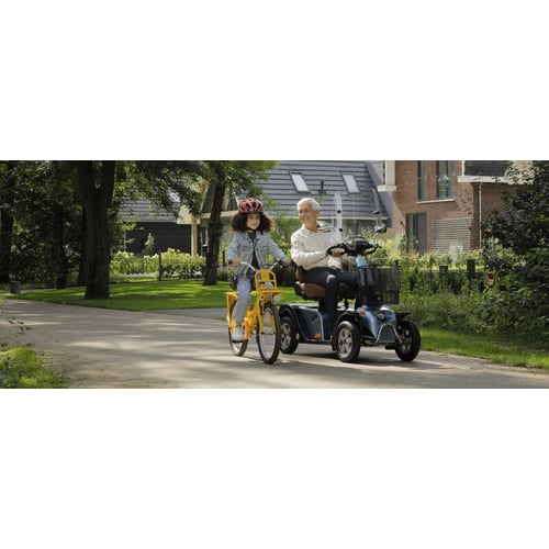 Pro Mobility, online
