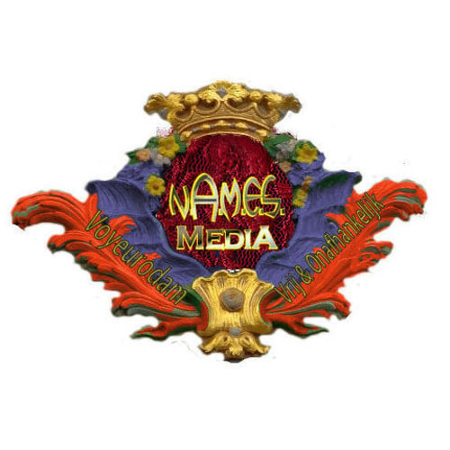 n.a.m.e.s.-Logo