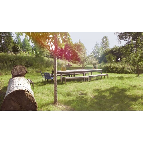 Terrein 