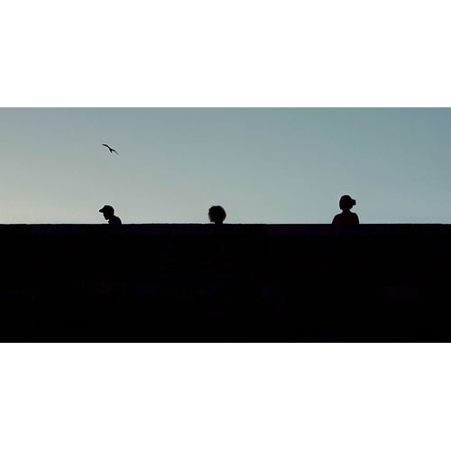 shadows