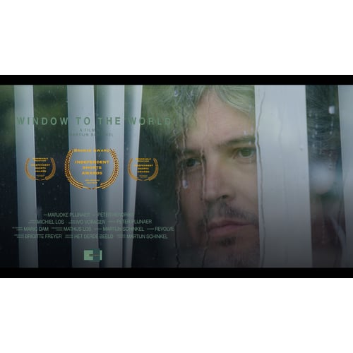 Window to the world (2018)