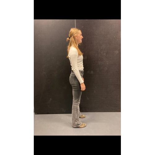 En profil