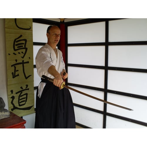 laijutsu katana training