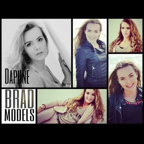 Brad Models