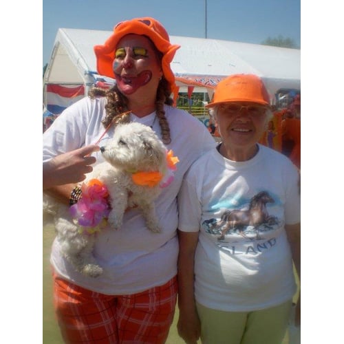 Care clown