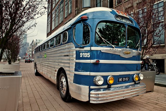 Greyhound Silverside Rotterdam